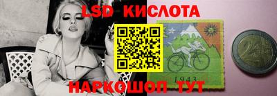 spice Камышлов