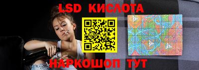 ГАЛЛЮЦИНОГЕННЫЕ ГРИБЫ Канаш