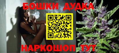 spice Камышлов
