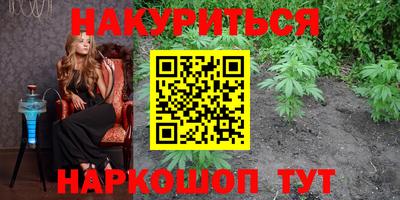 spice Камышлов