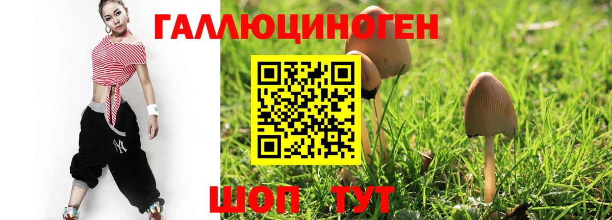 Кызыл  Галлюциногенные грибы Cubensis  Вход с VPN 